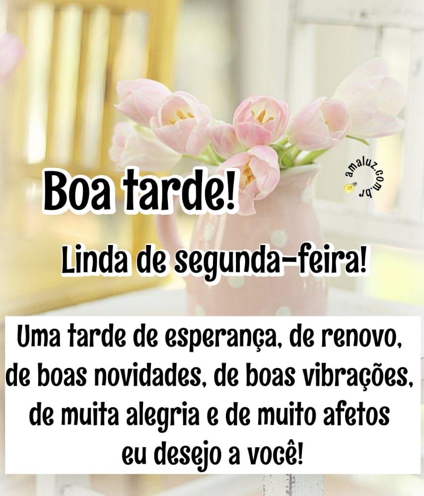 35 Imagens de Boa Tarde Segunda Feira Frases e Mensagens legais