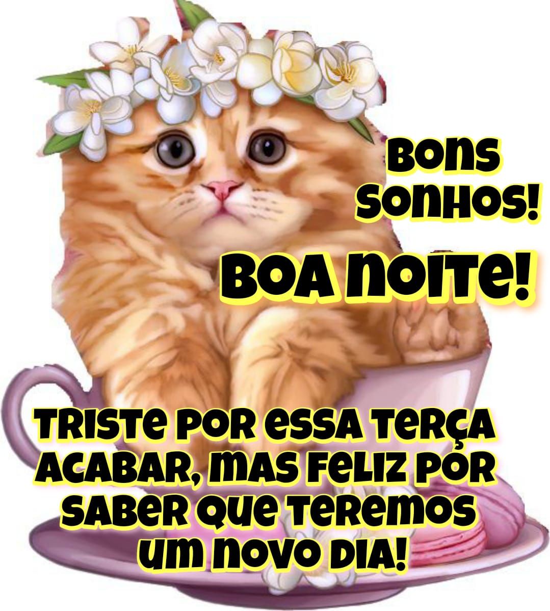 Triste por essa terça feira acabar, boa noite