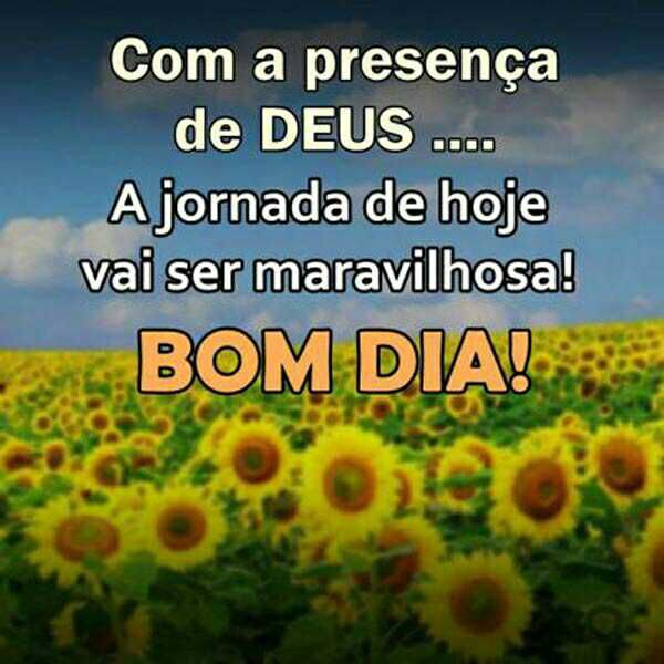 Uma jornada maravilhosa bom dia
