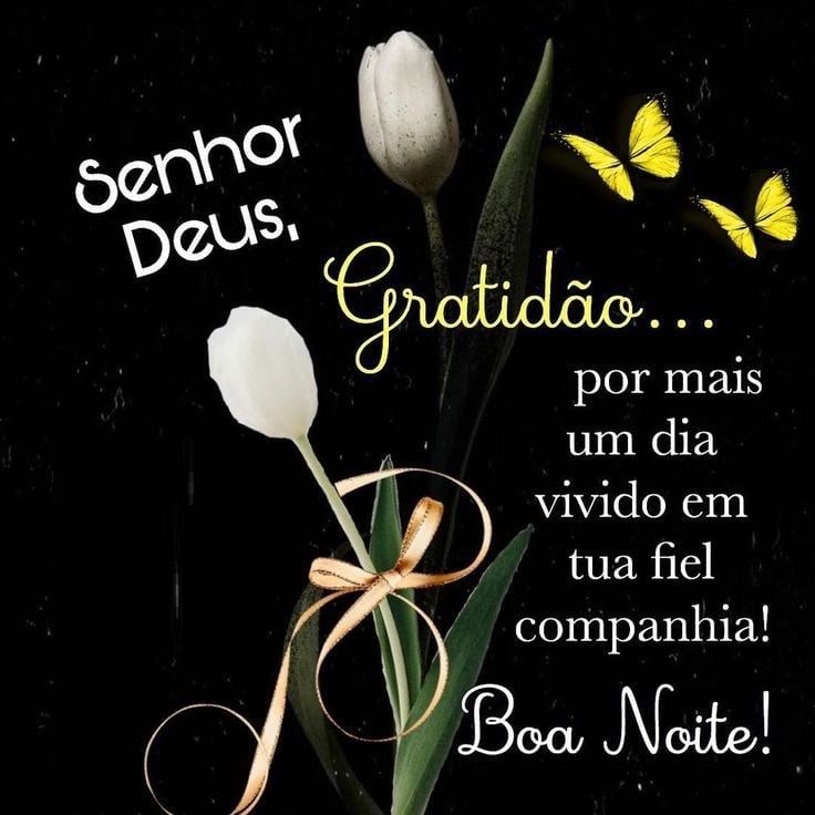 boa noite gratidão imagens