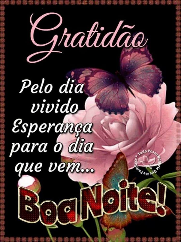 gratidão pelo dia vivido boa noite