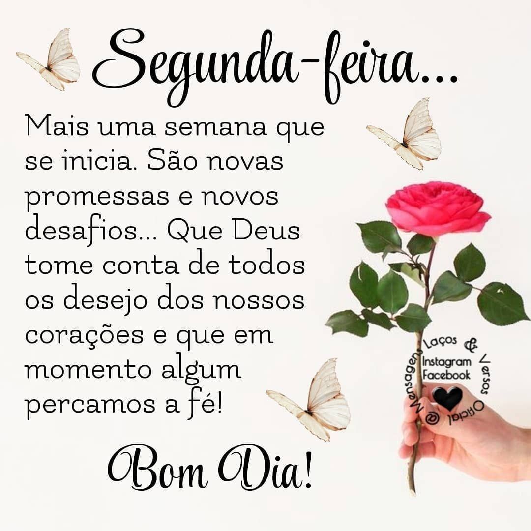lindo dia de segunda feira