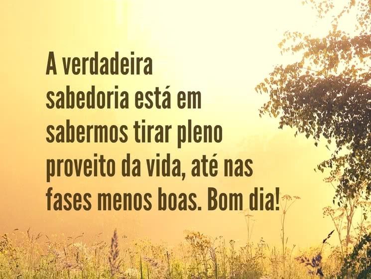 proveito da vida, bom dia