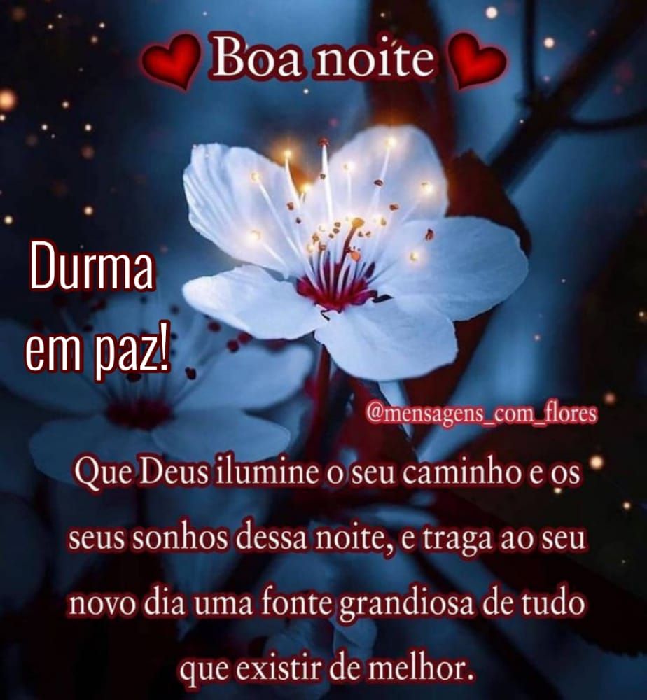 que Deus ilumine seus caminhos durma em paz