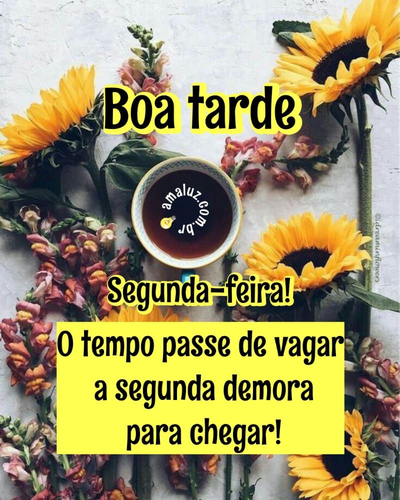 segunda feira boa tarde