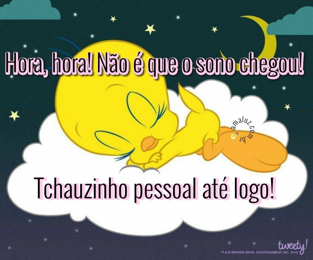 tchauzinho pessoal até logo