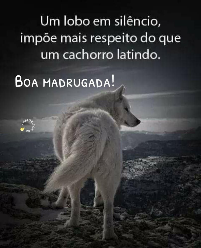 uma boa madrugada imagens e frases