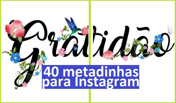 Metadinhas com Frases Para bio Instagram