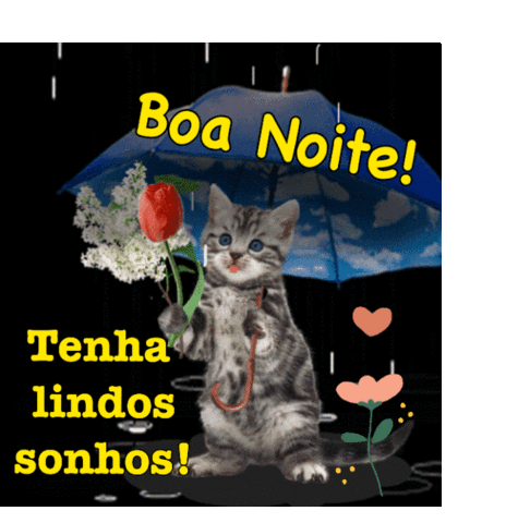Boa Noite tenha lindos sonhos