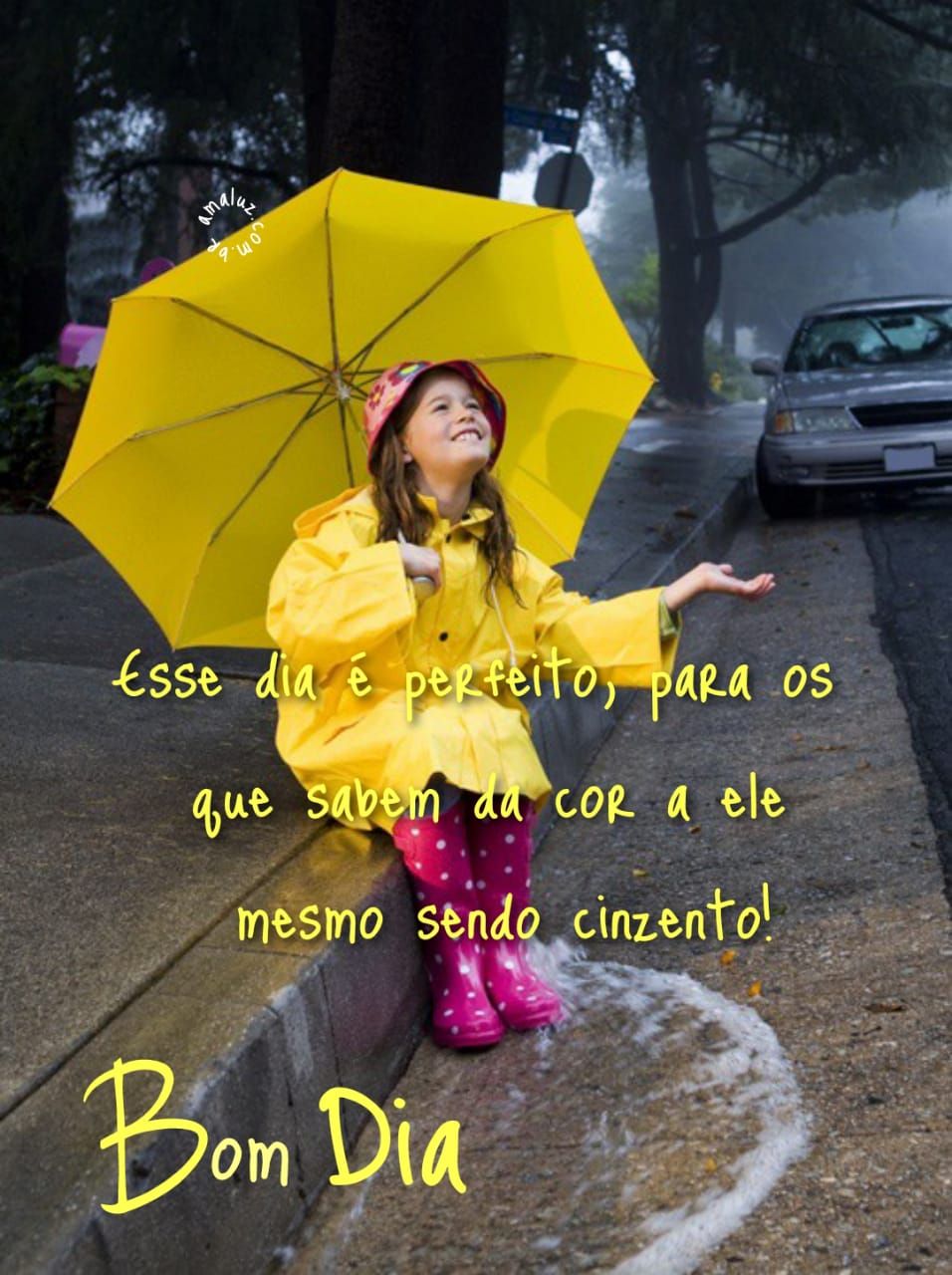 Esses dias é perfeitos, bom dia