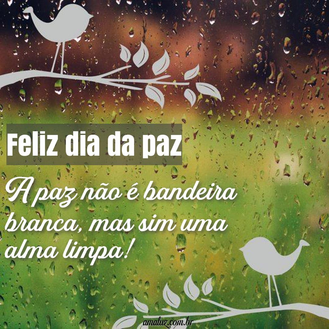 30 Mensagens de Feliz dia da Paz 1 de Janeiro