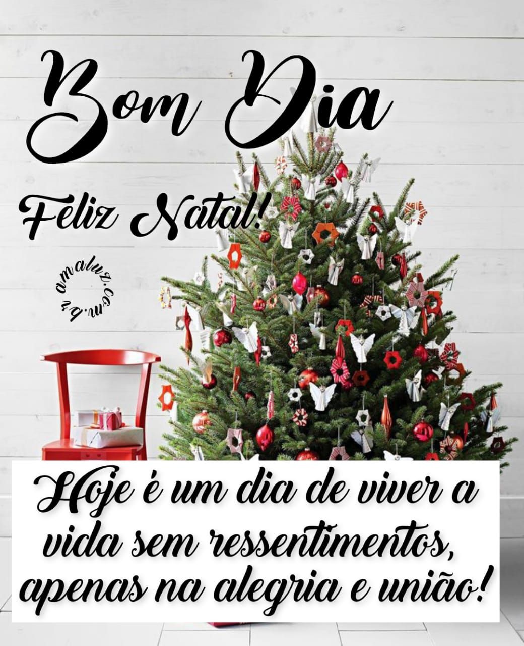 Hoje é um dia de viver a vida feliz, bom dia