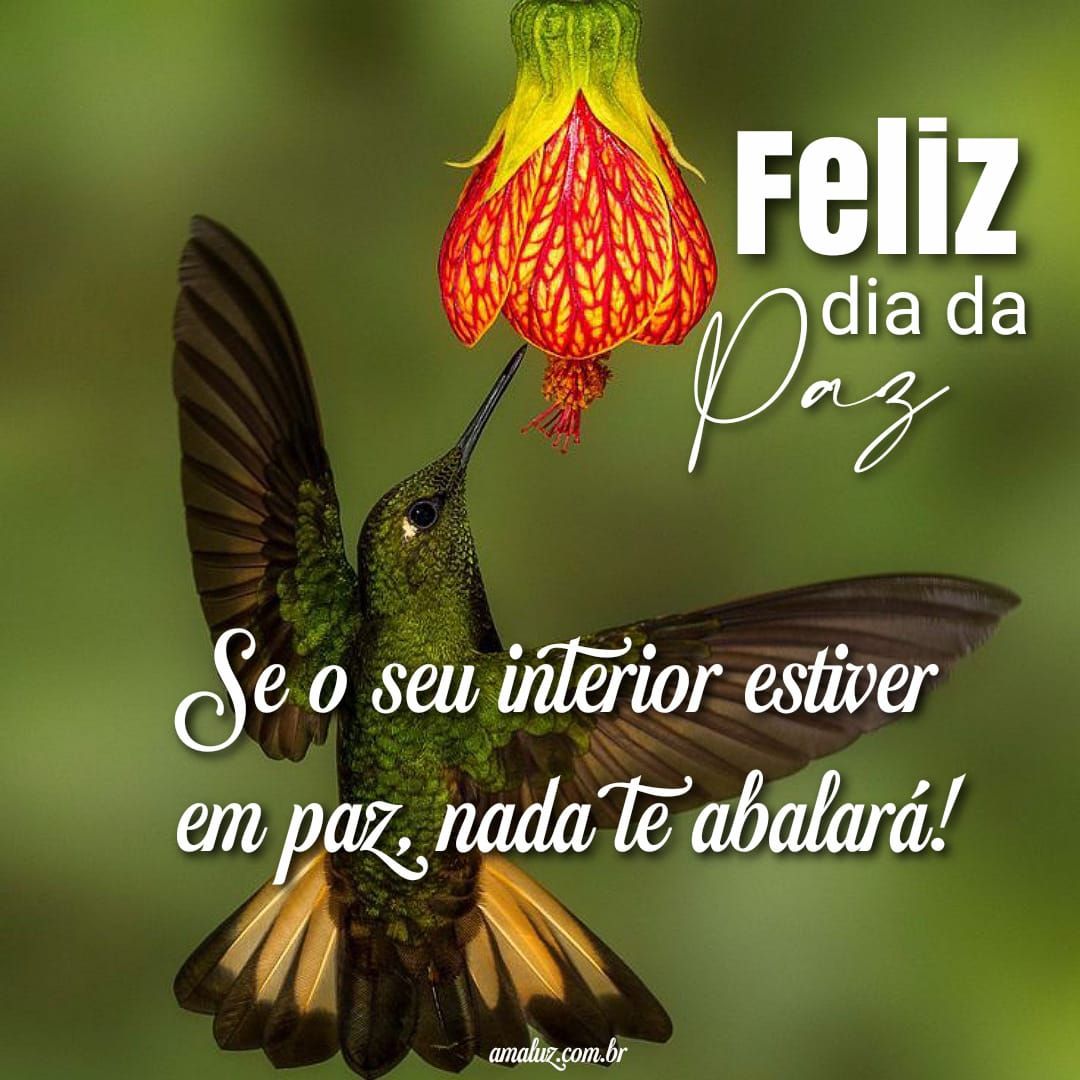 Imagens do dia da paz e motivação