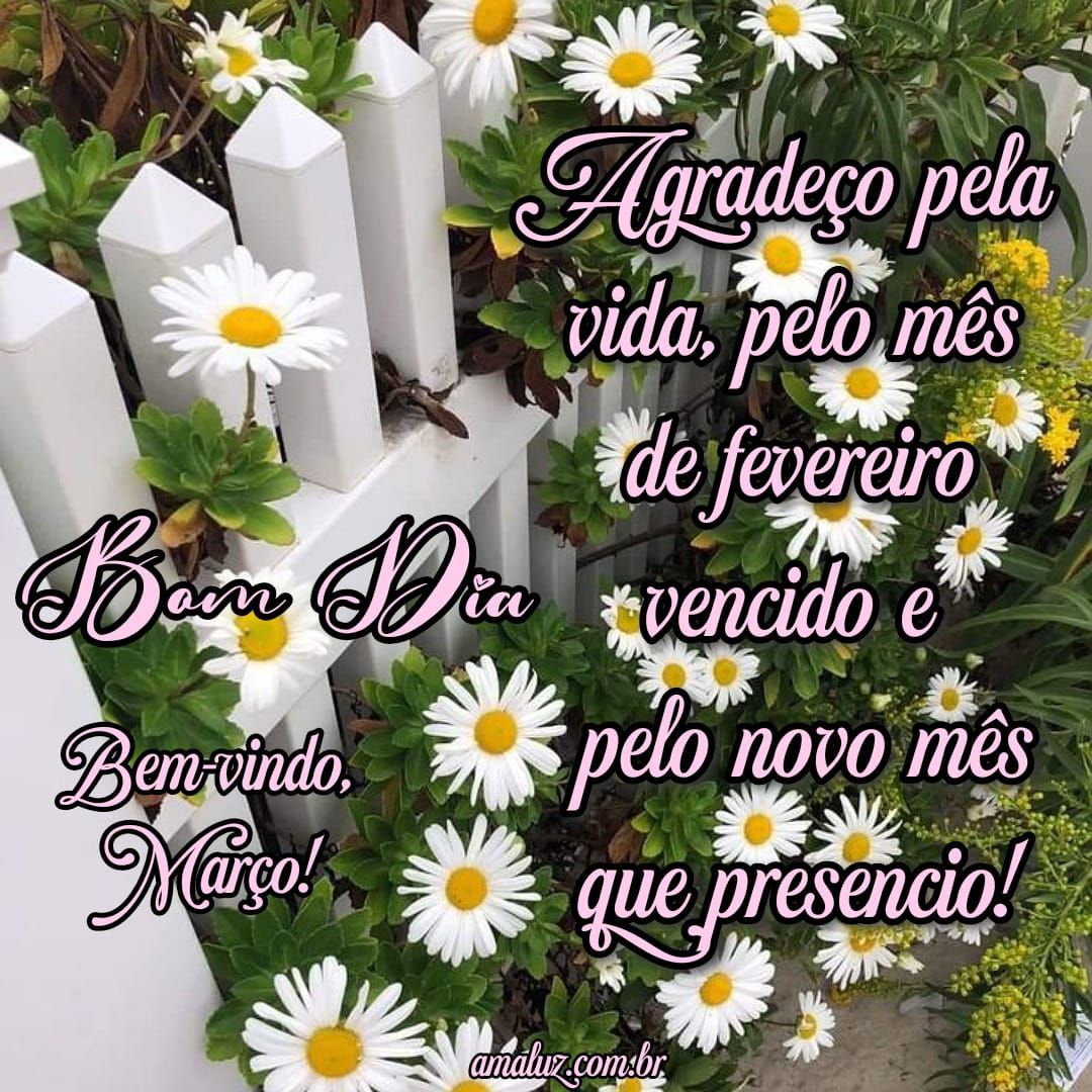 Mês de fevereiro vencido, bem vindo março
