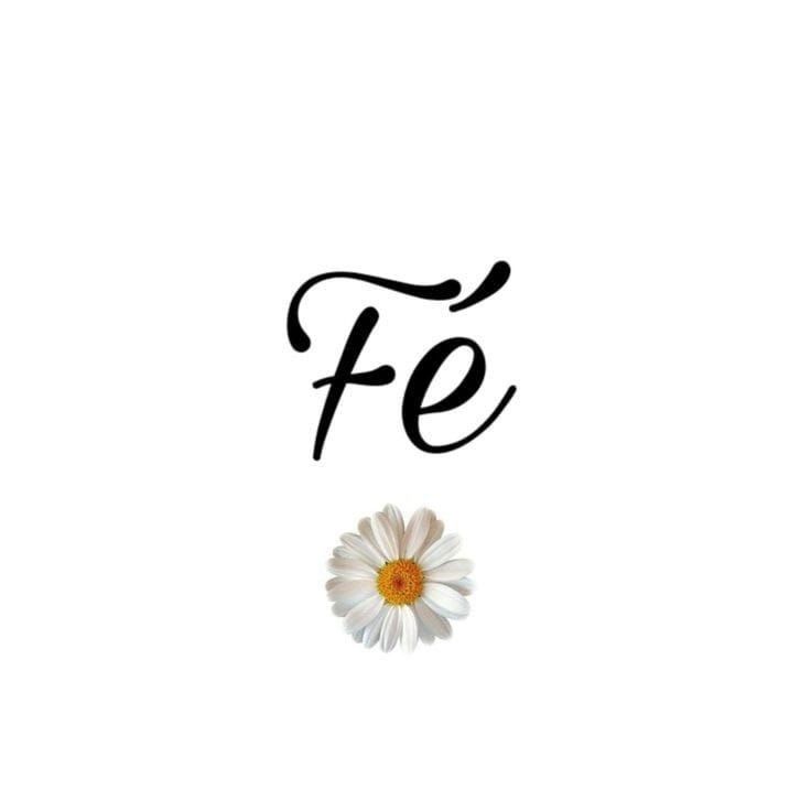 Metadinhas para redes sociais com lindas frases