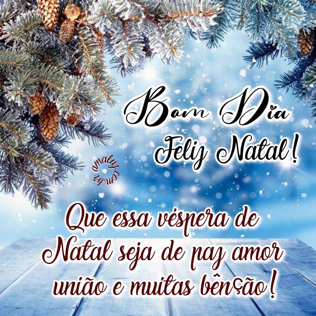 Que essa véspera de natal seja de paz