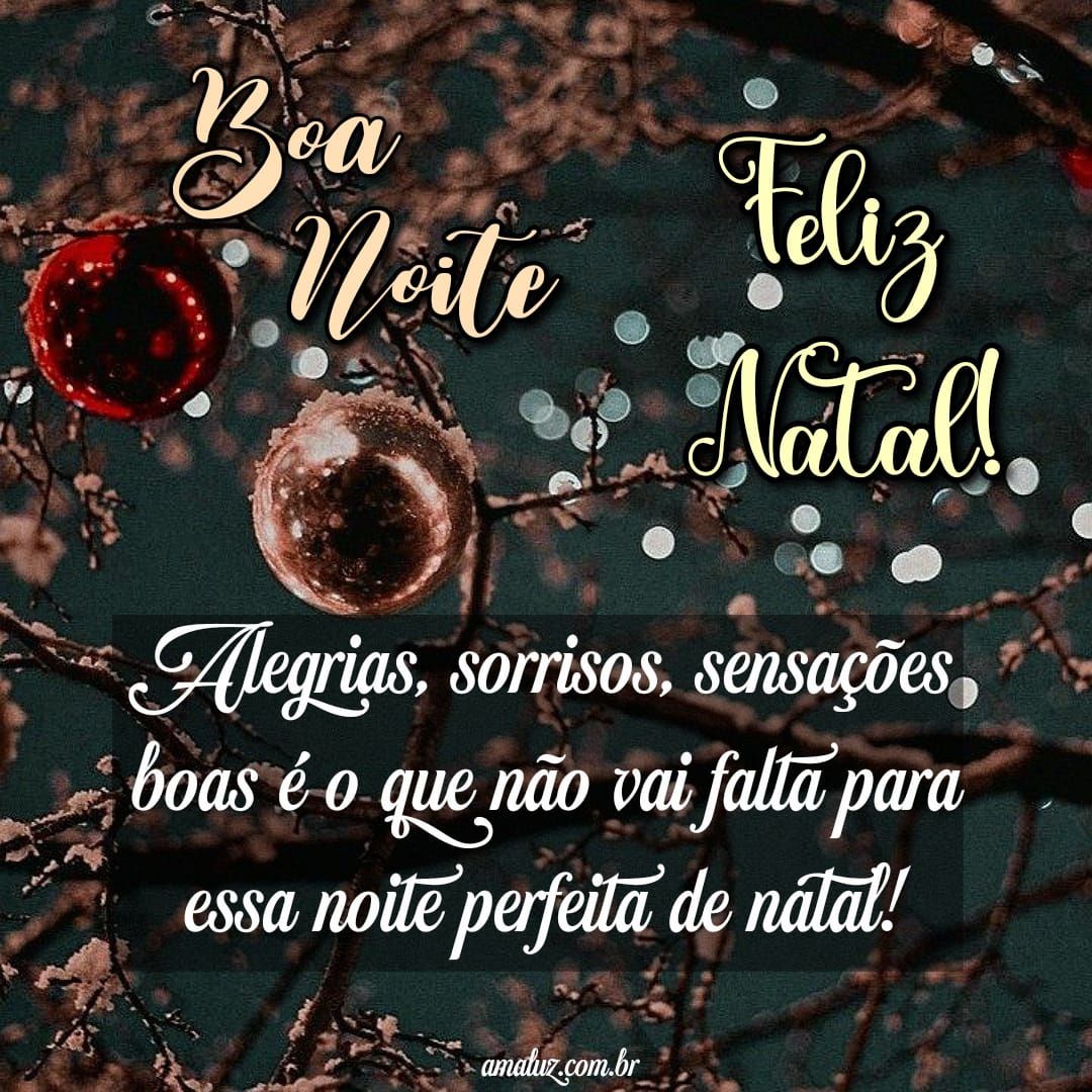 Uma noite perfeita de natal