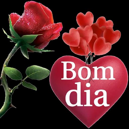 Uma rosa de paz amor e um bom dia de ano novo