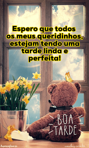 Uma tarde linda e perfeita gifs