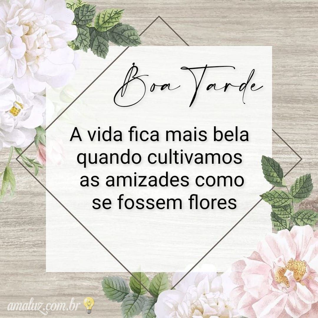 A vida fica mais bela quando cultivamos as amizades, boa tarde