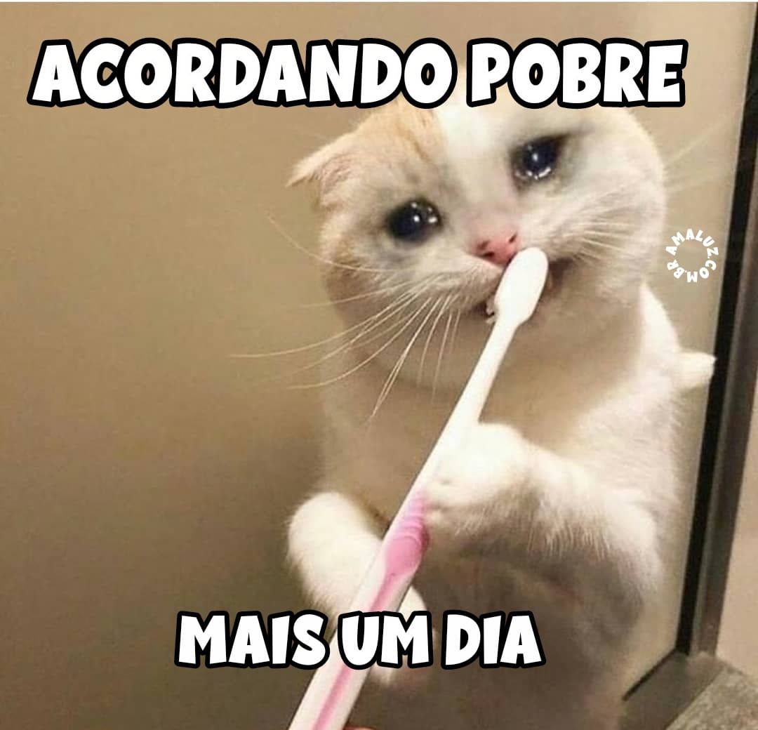 Acordando pobre mais um dia, mensagens