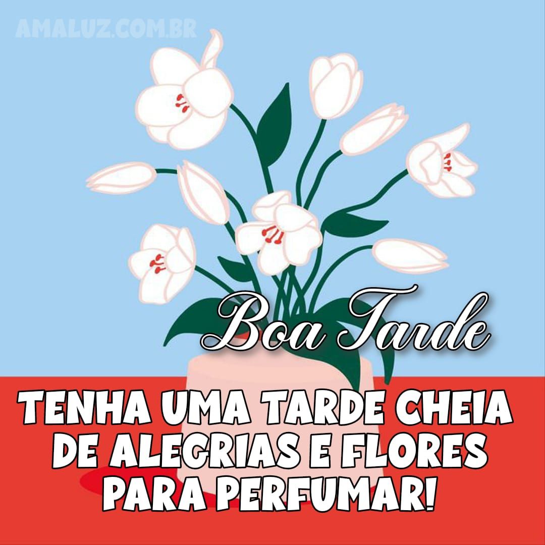 Boa tarde com flores para dar paz