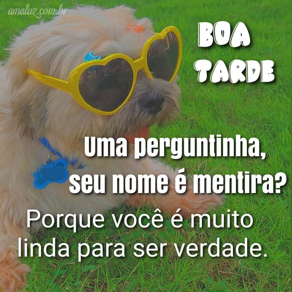 Boa tarde com frases divertidas e engraçadas