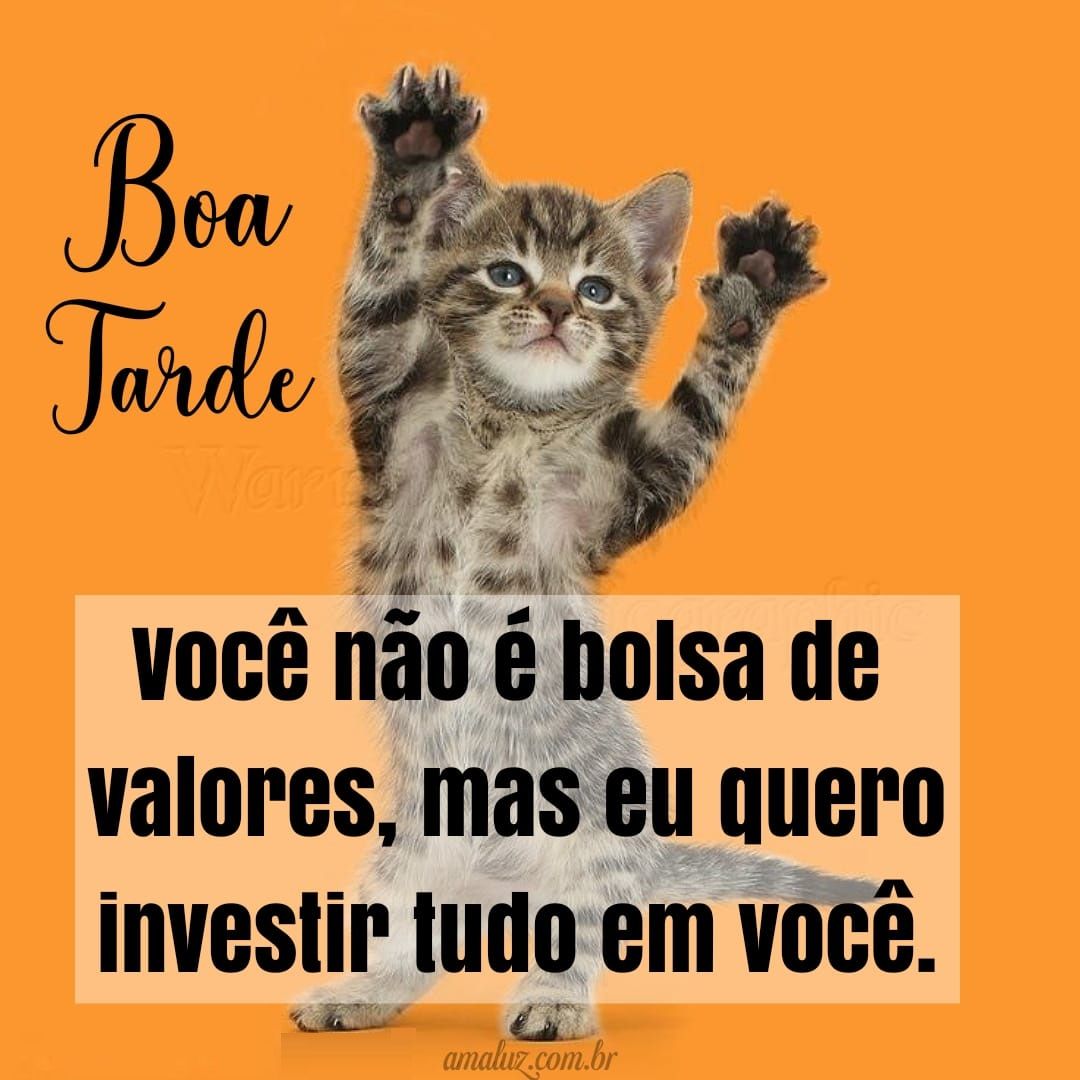 Boa tarde com humor inteligente