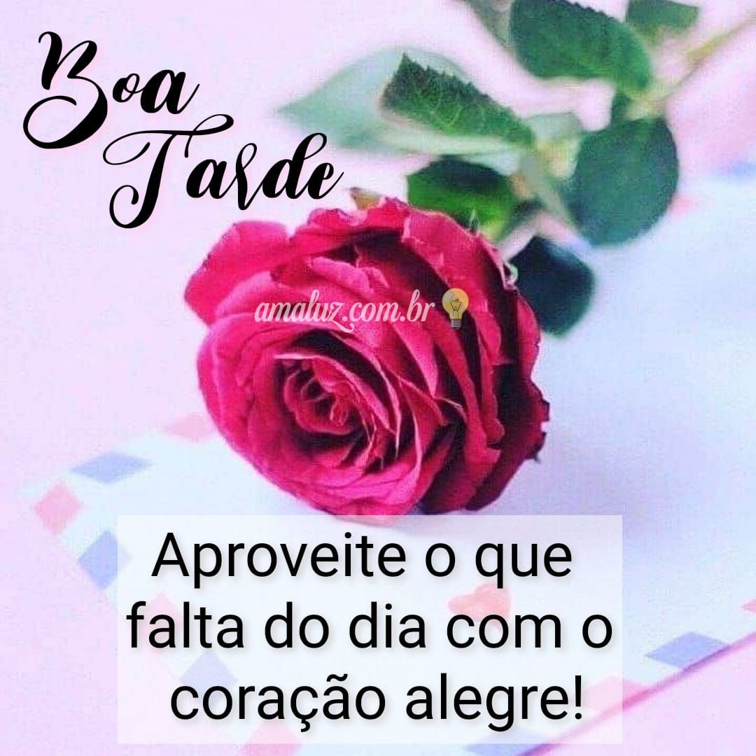 Boa tarde com lindas flores