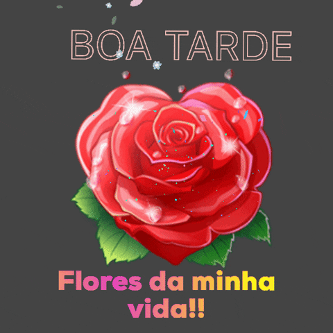 Boa tarde flores da minha vida