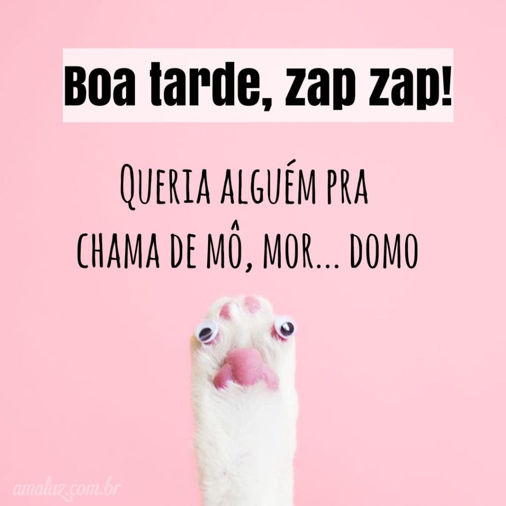 Boa tarde para grupo engraçadas