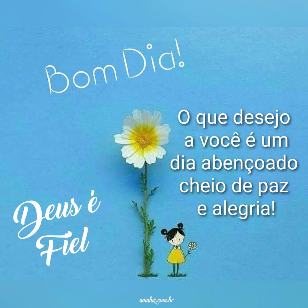 40 Imagens de Bom dia com Flores e Mensagens para Whatsapp