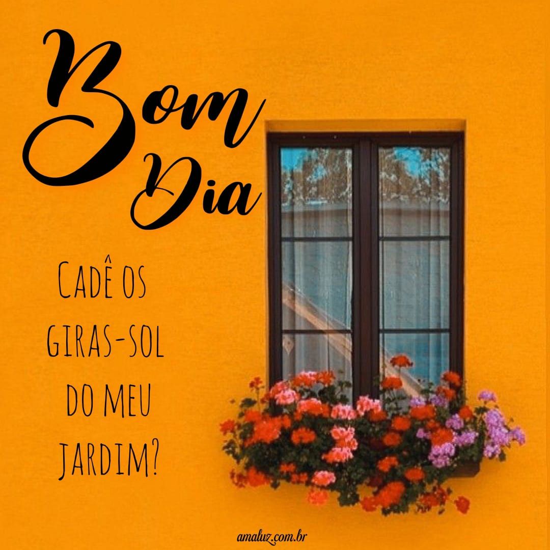 Bom dia cadê os gira sol do meu jardim