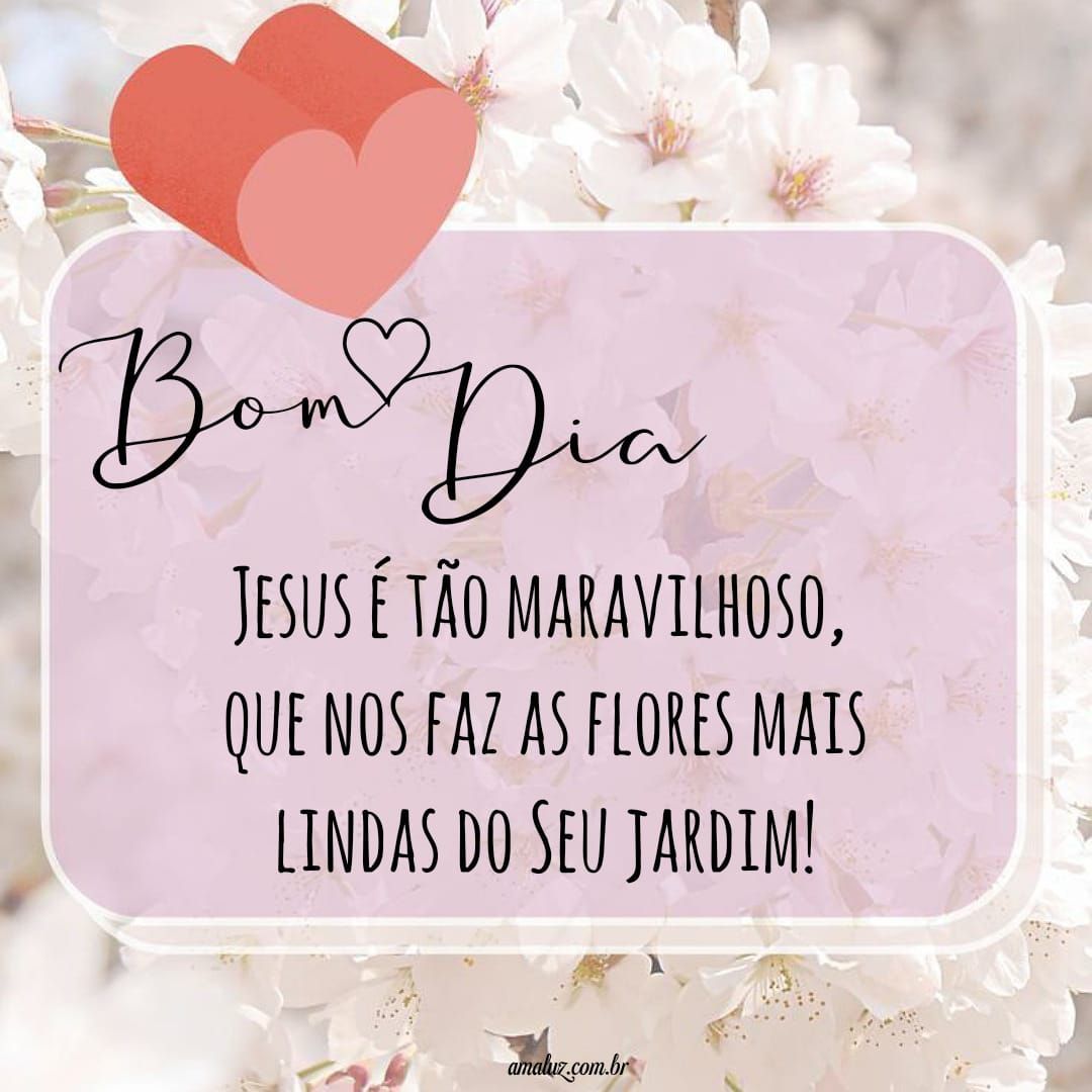 Bom dia com flores maravilhosas