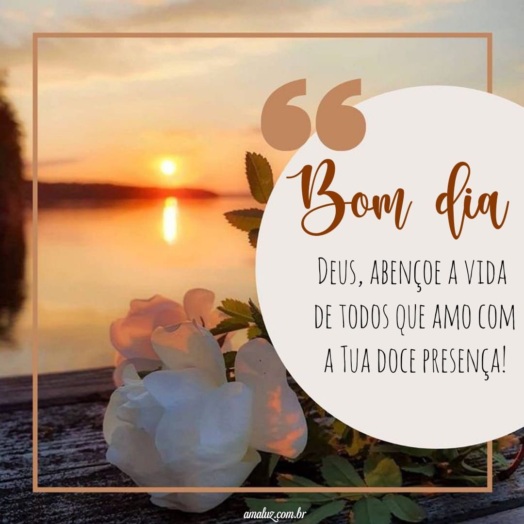 Bom dia com uma rosa branca