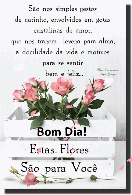 Bom dia, flores para você