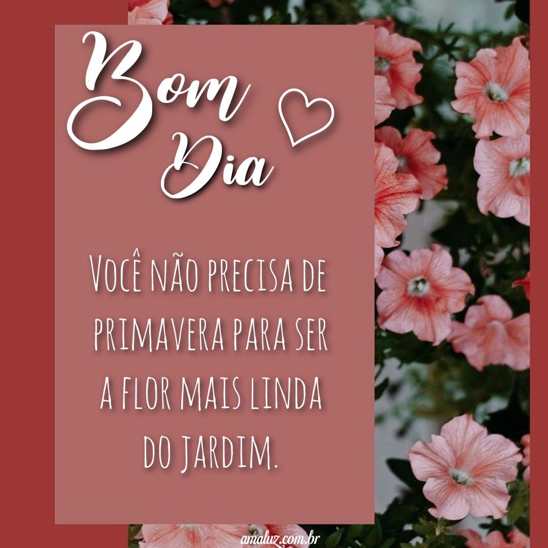 Bom dia para flor do dia