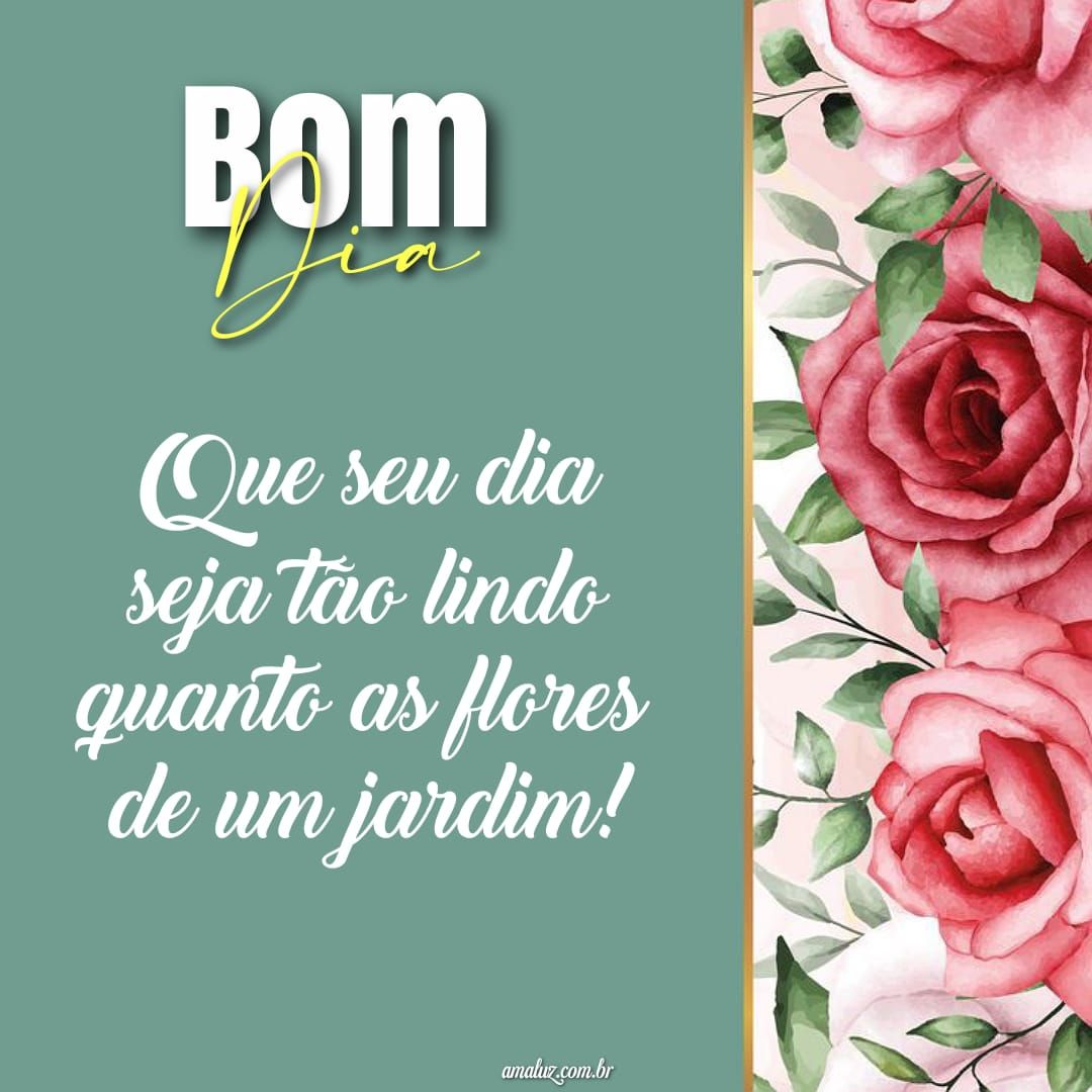 Bom dia que seu dia seja tão lindo quanto as flores de um jardim