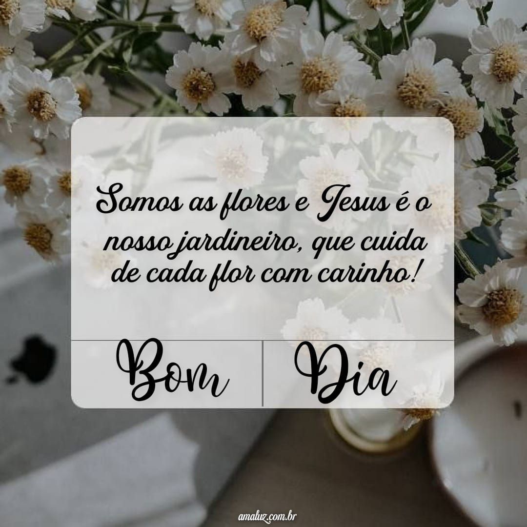 Desejo um bom dia regado de amor