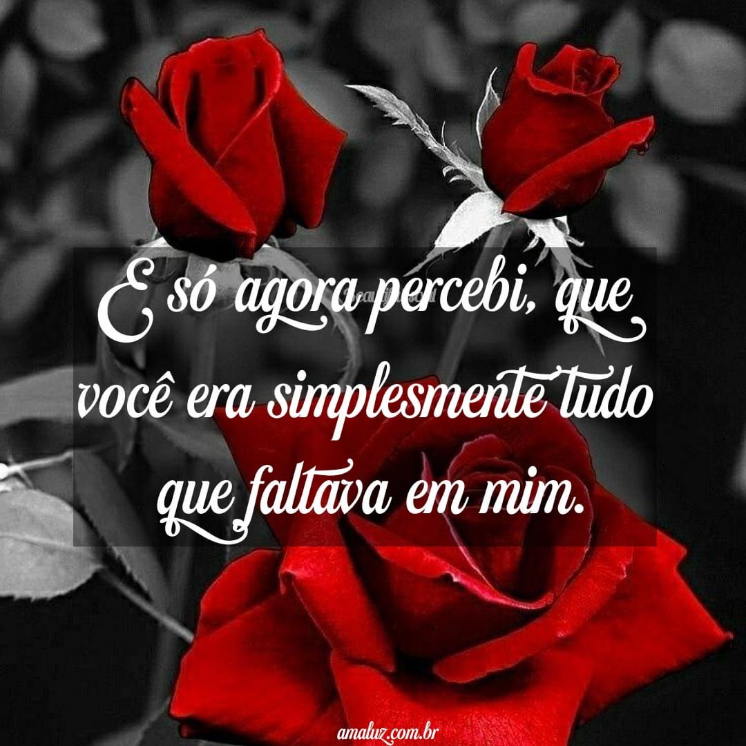 Flor e mensagem para status