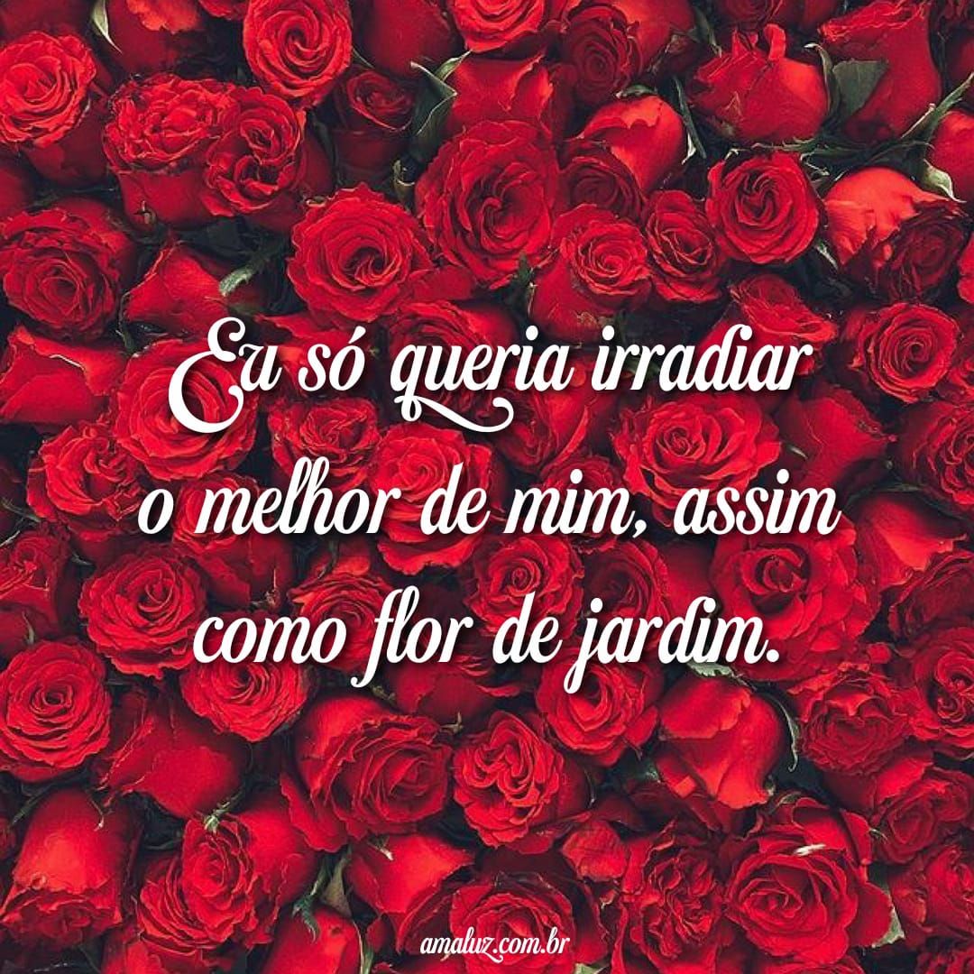 Flores e frases