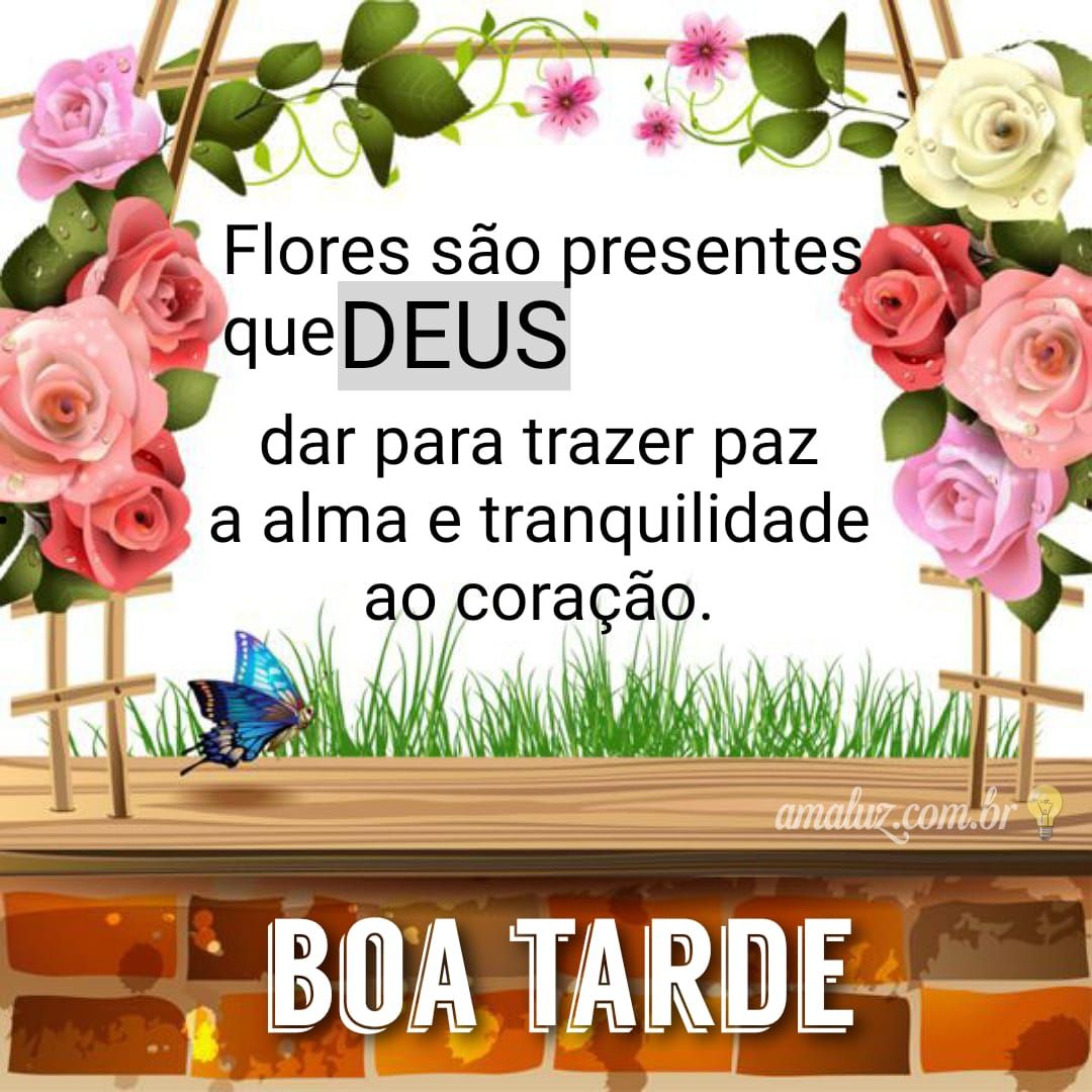 Flores são presentes de Deus, boa tarde