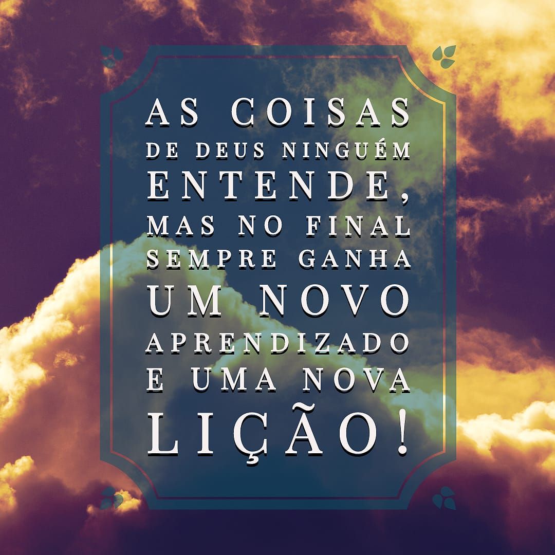 Frases para status do whatsapp