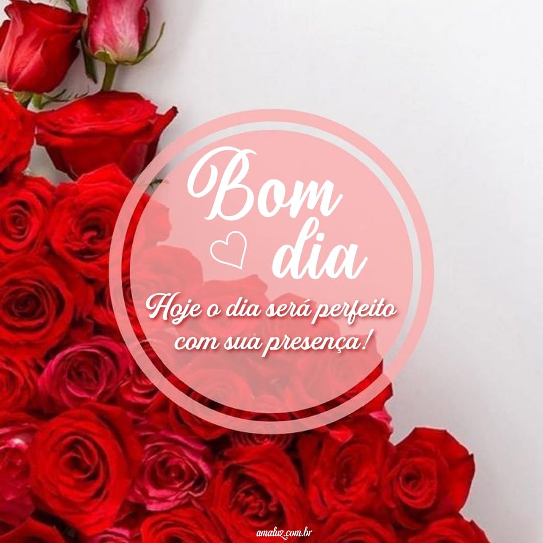 Hoje será um dia perfeito