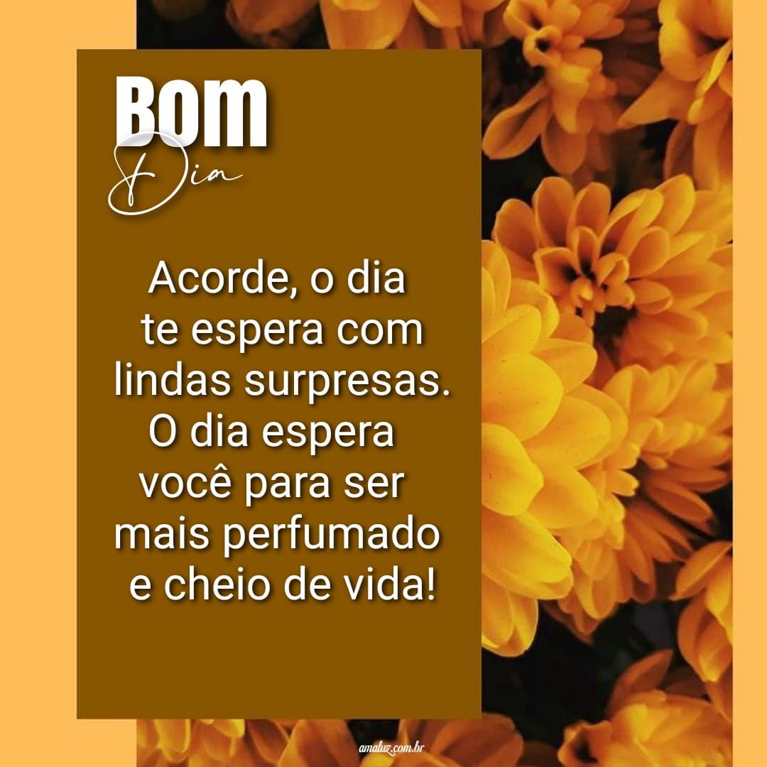 Imagem de bom dia com flor