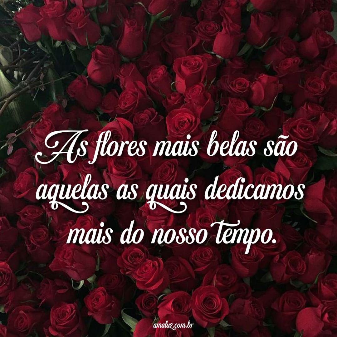 Imagens bonitas de flores para status do whatsapp