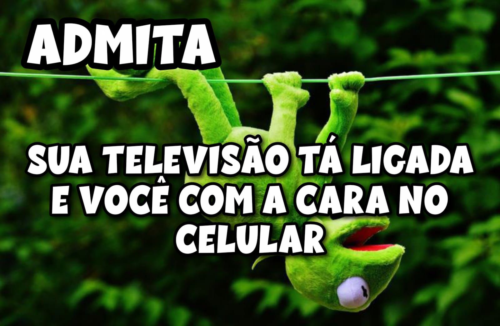 Imagens engraçadas e divertidas para status