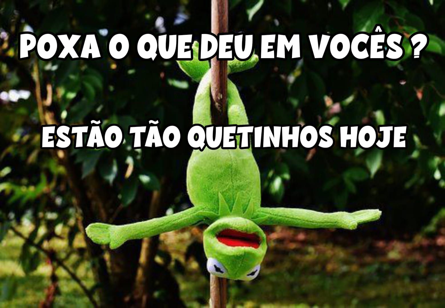 Imagens engraçadas para status do whatsapp