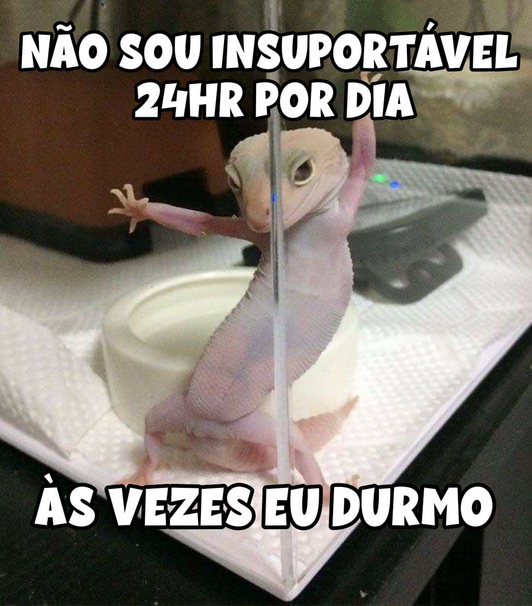 Imagens para melhorar o seu humor