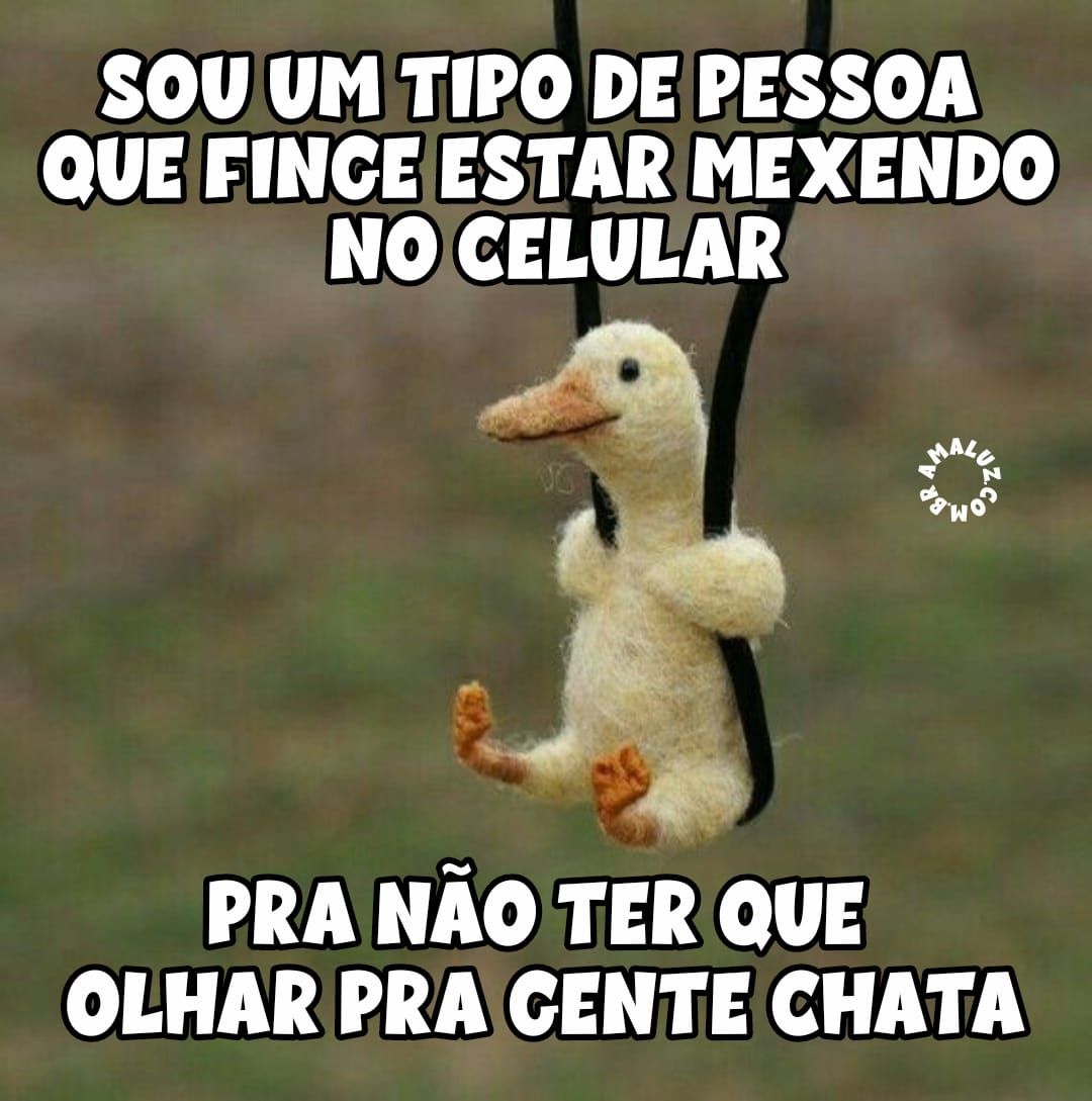 Imagens para morrer de rir